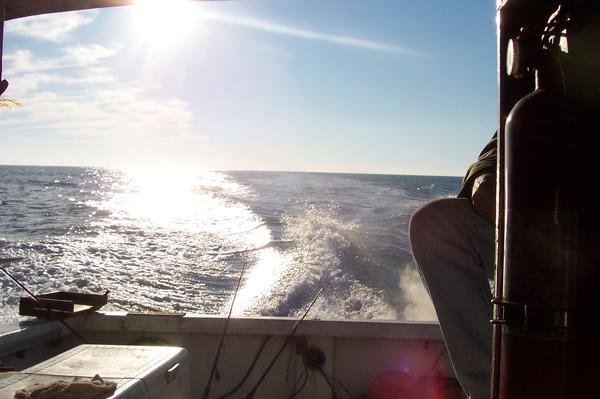 David Coppedge's album, Cover Photos