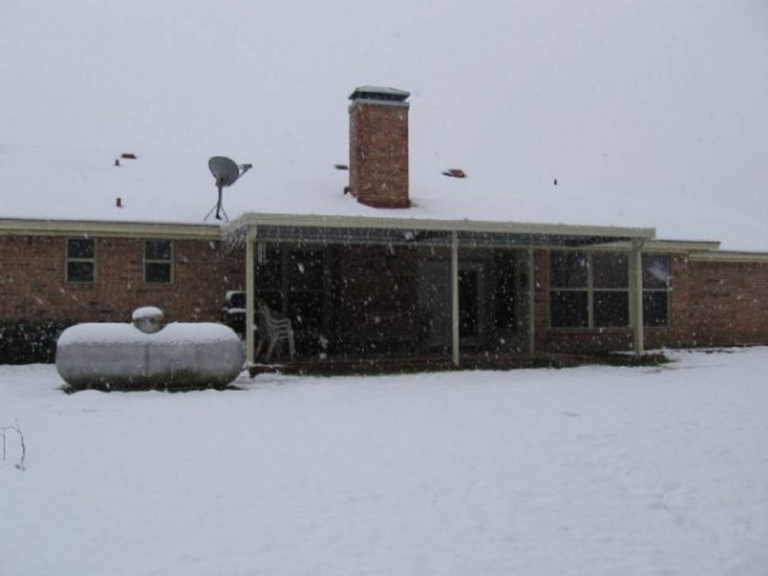 Debi White's album, snow 2-11-10