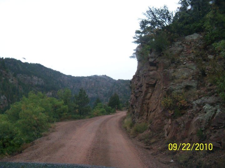 Kathy King's album, Colorado Trip in the fall, Christmas 2010, Gabbies Bday, Spring