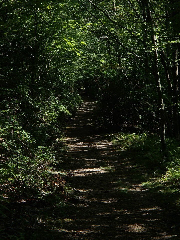 Brian Melton's album, Mt. Pleasant and Pompey Mountain--Henry Lanum Trail