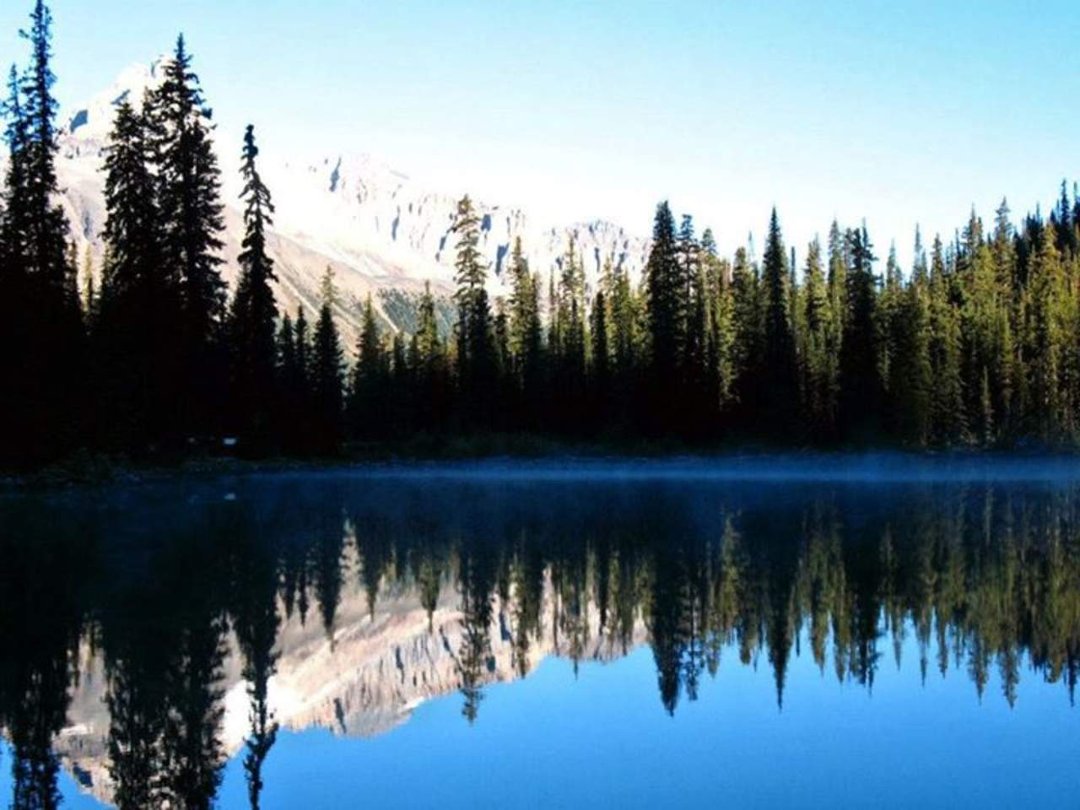 Jon Publik's album, Nature at it's Best or Man kind can do.