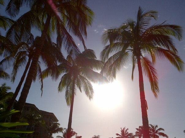 Nancy Weingrow's album, Cover Photos