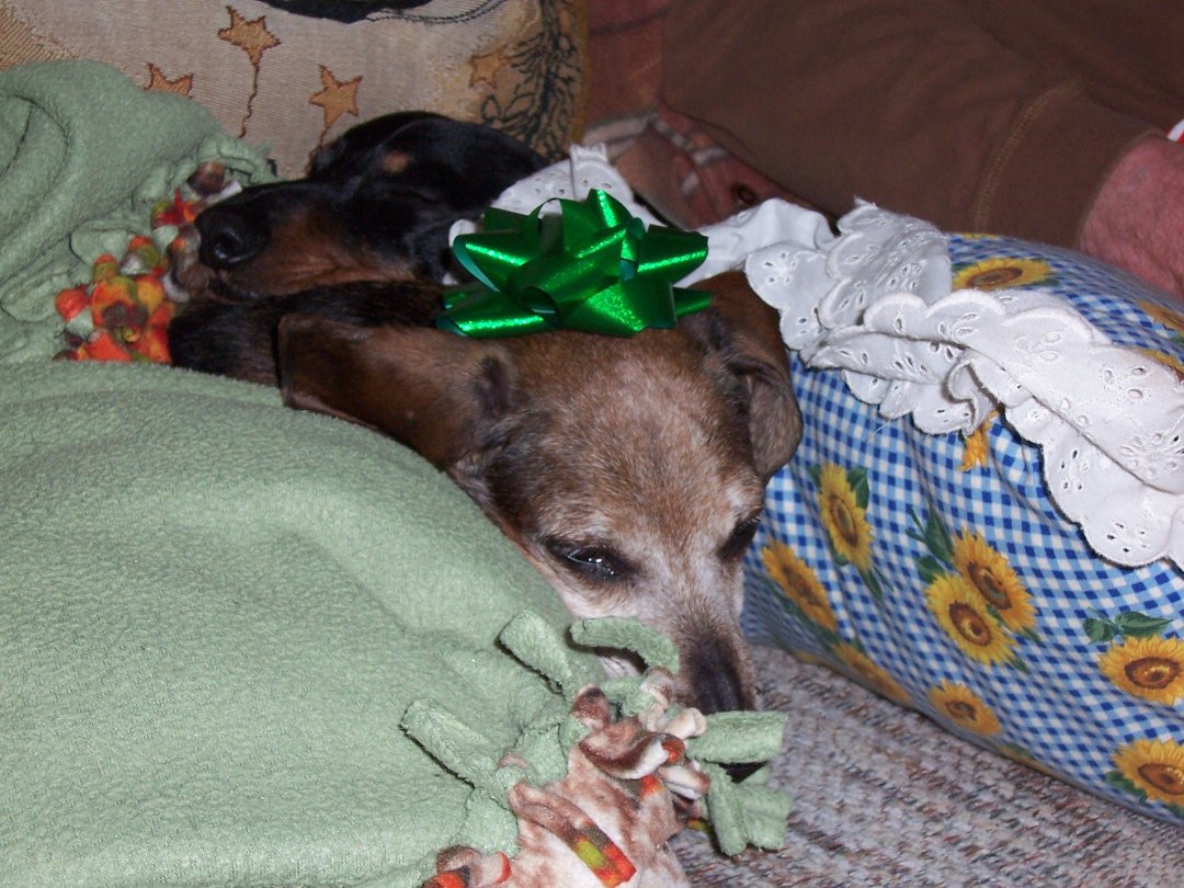 Dave Iden's album, Christmas 2010