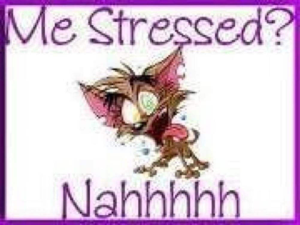 Brandy Taylor's album, Timeline Photos