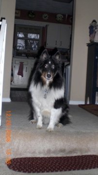 Brian Barker's album, Family pictures