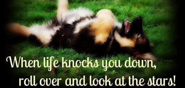 Jerrie Foxe's album, Timeline Photos