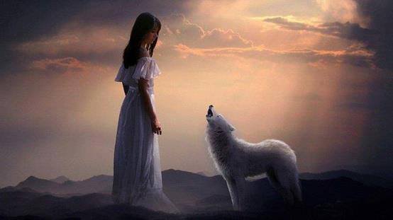 Nancy Biederman's album, Cover Photos