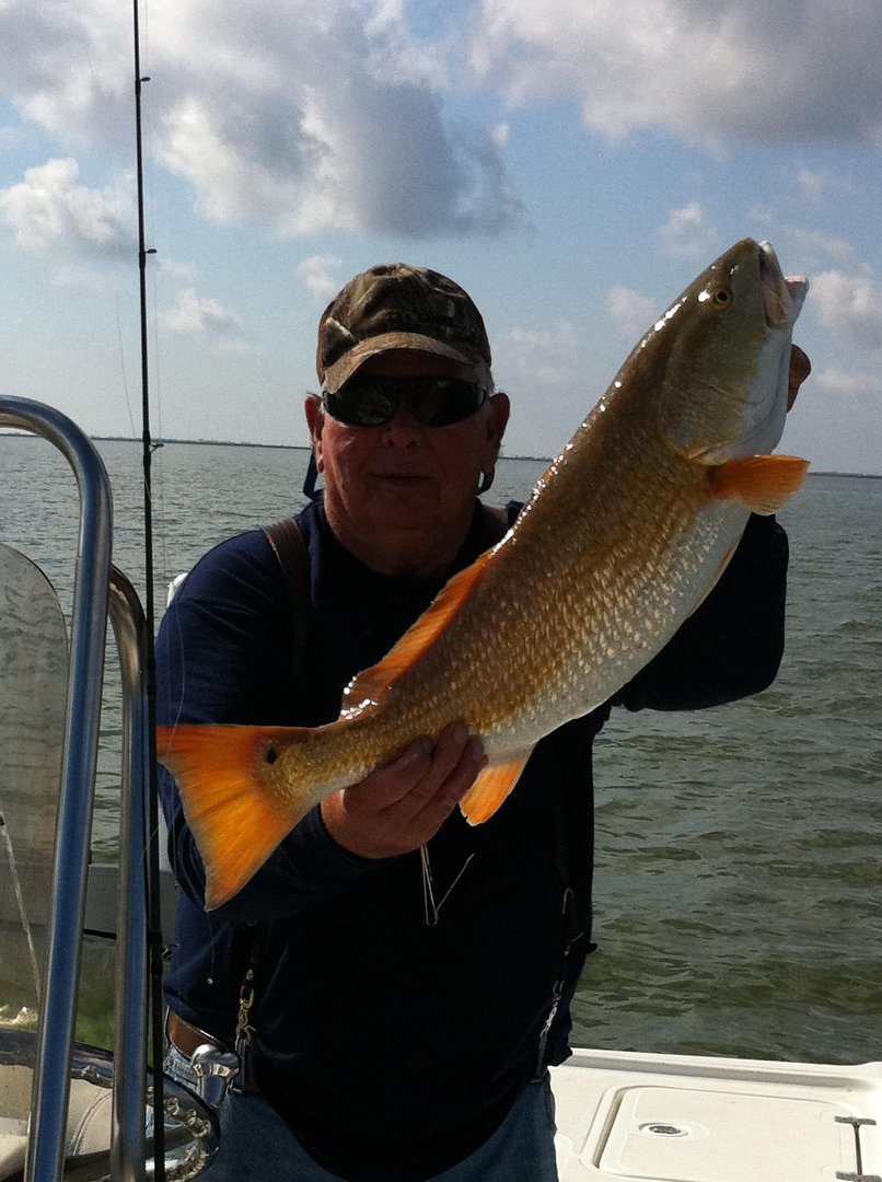 Byron Calfee's album, Profile Pictures