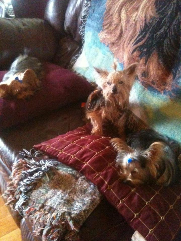 Candy Cox's album, Mobile Uploads