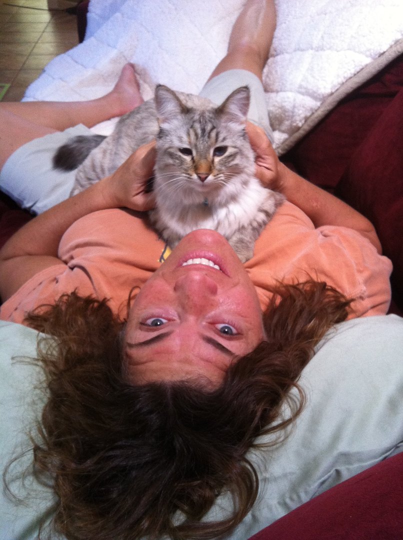 Gale Davidson's album, Mobile Uploads