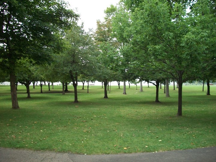 Gary Ratajski's album, Road Trip, Mi. to Niagra Falls