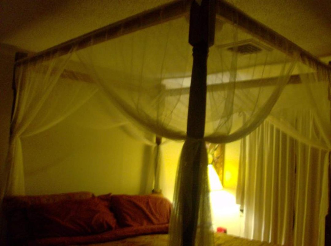Jennifer Hutchinson's album, BED