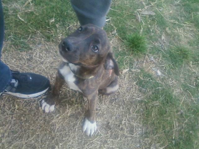 Kimberlye Riley's album, Timeline Photos