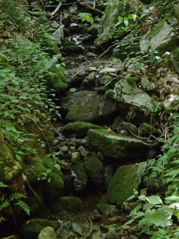 Brian Melton's album, Mt. Pleasant and Pompey Mountain--Henry Lanum Trail
