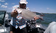Mark Fling's album, Fun fishing