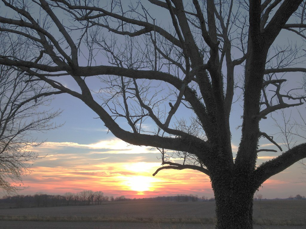 van short's album, Cover Photos