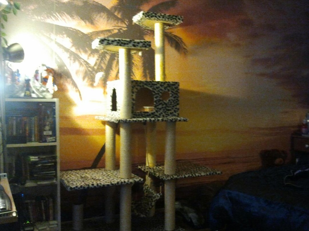Timothy Kinch's album, Mobile Uploads