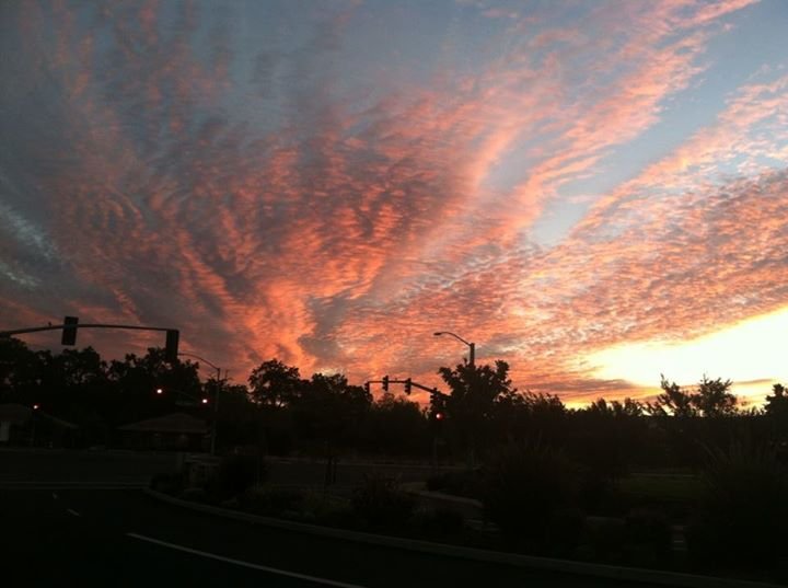 Michael Smith's album, iOS Photos