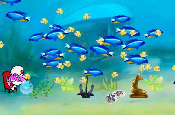 Barbara Malinowski's album, Fish Life Photos