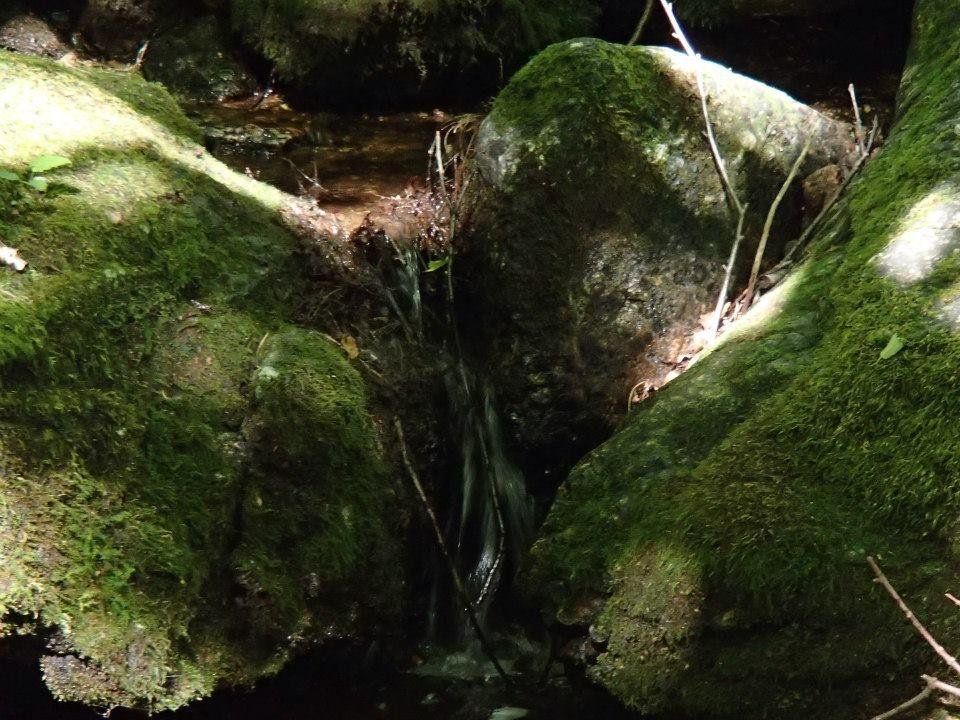 Brian Melton's album, Mt. Pleasant and Pompey Mountain--Henry Lanum Trail