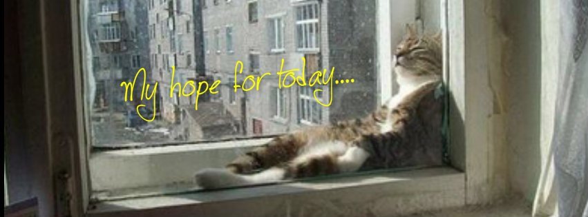 Julie Betts' album, Cover Photos