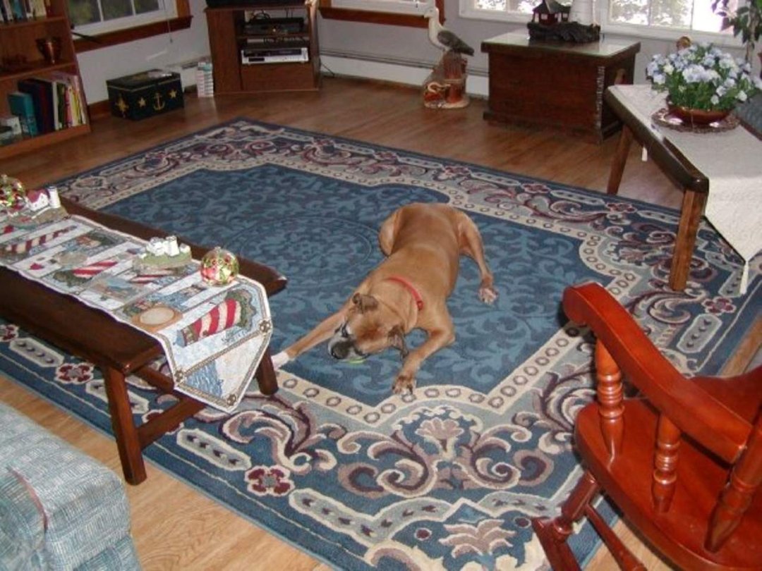 Rob Allard's album, Charlie