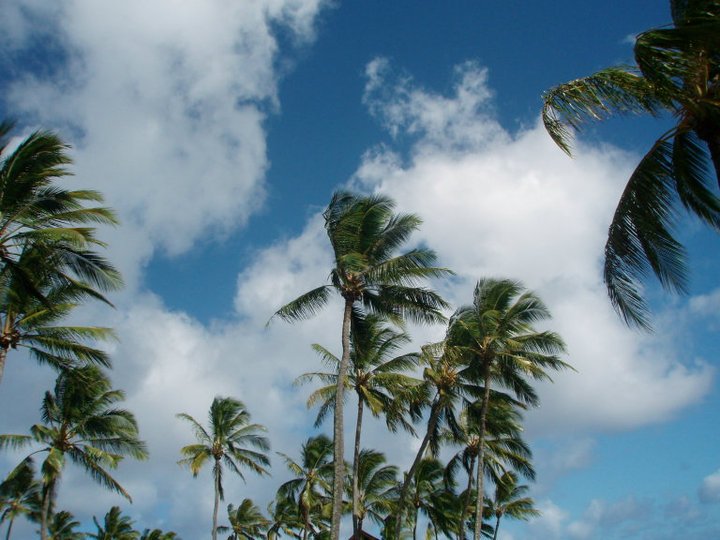 Don Eagle's album, Kauai