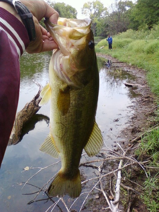 Brady Wright's album, Fishing