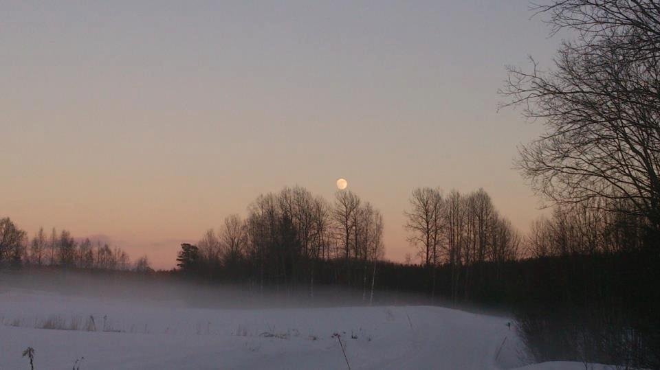 Sharon Storey's album, Cover Photos