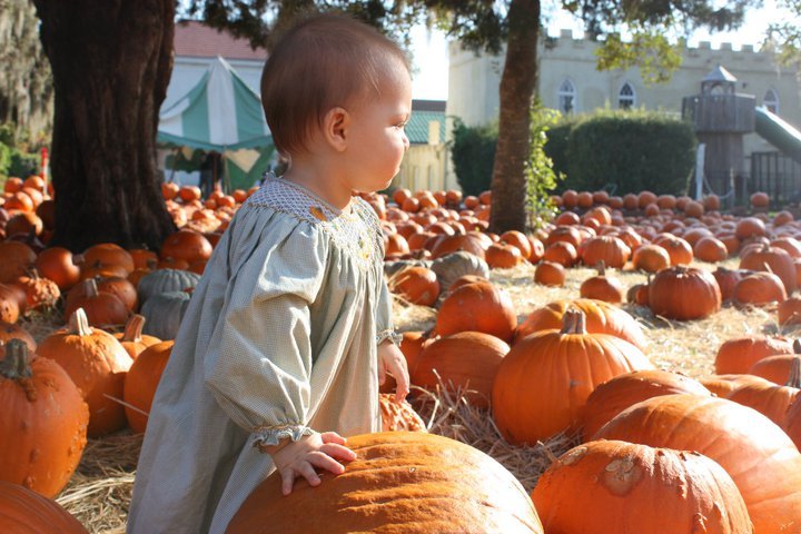 Davis Collins' album, Collins at the Pumpkin Patch