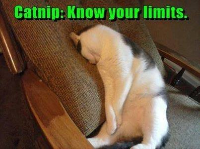Claudia Clark-Attebery's album, Timeline Photos