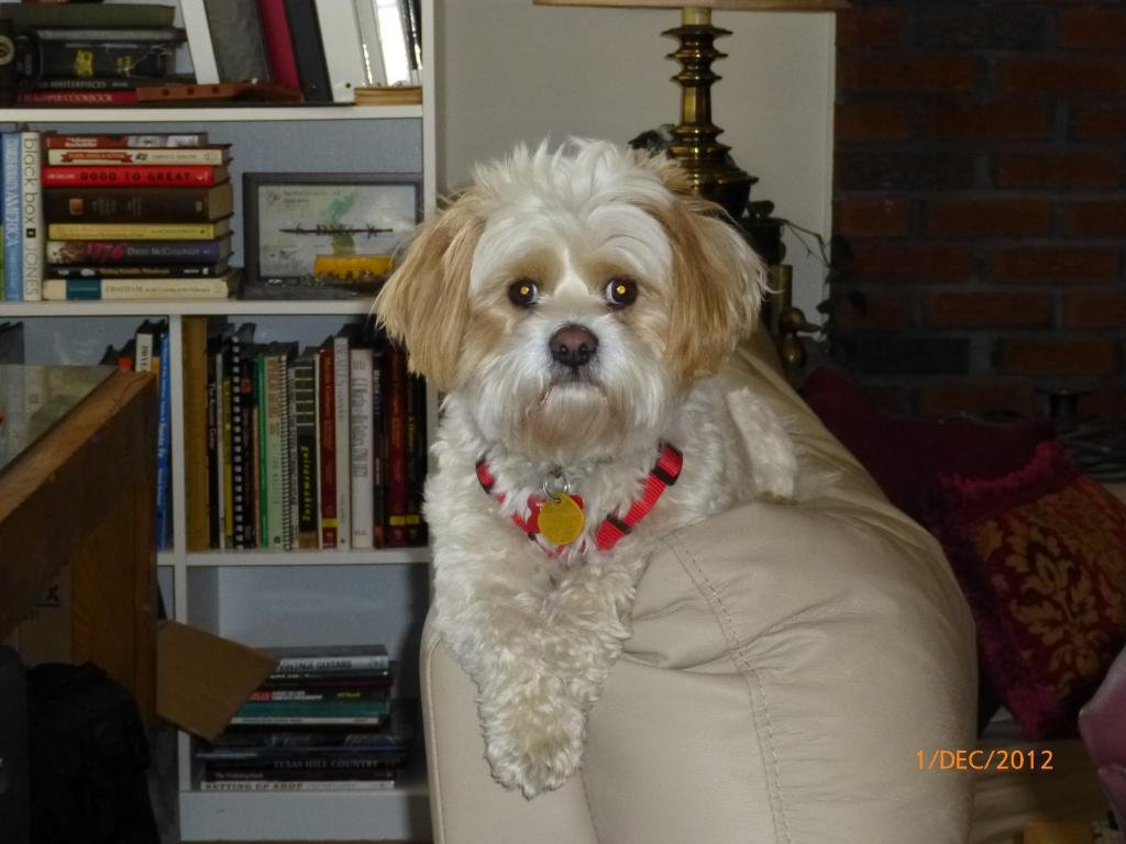 Jim Fix's album, Photobucket Photos