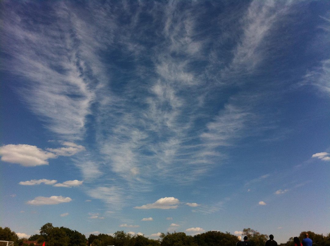 Scott Wiening's album, Phone Photos