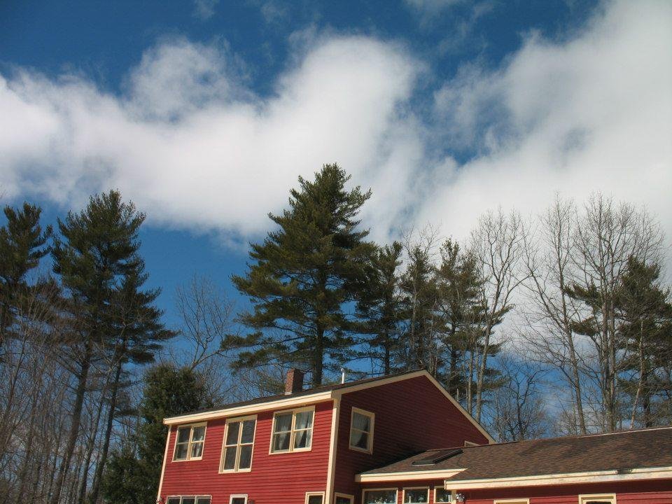 Mike Smith's album, Spring Day in the Woods, 03.13