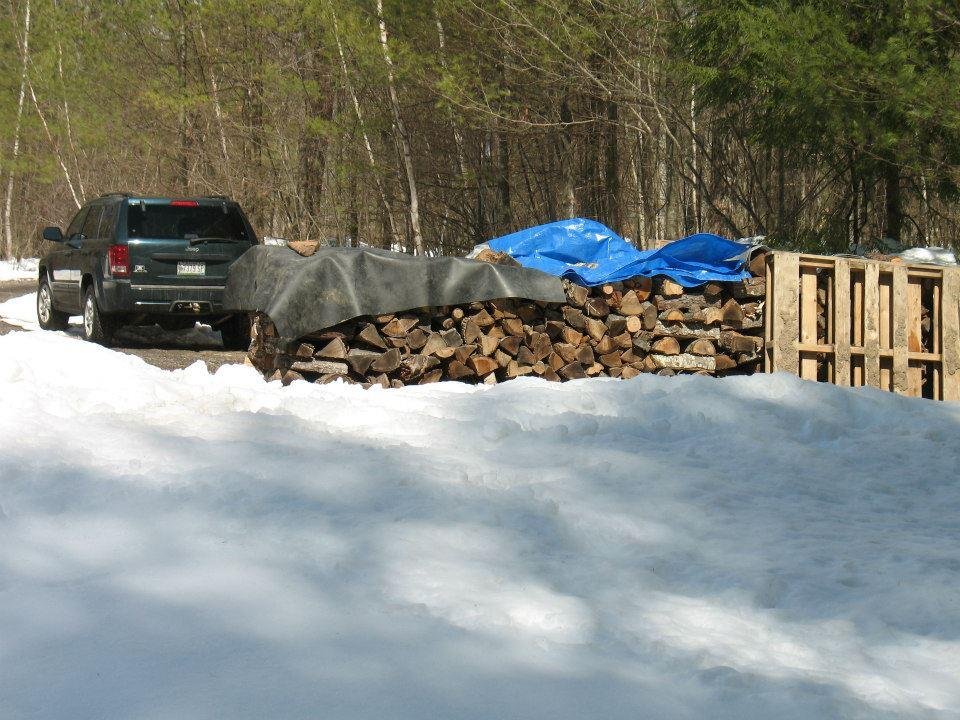 Mike Smith's album, Spring Day in the Woods, 03.13