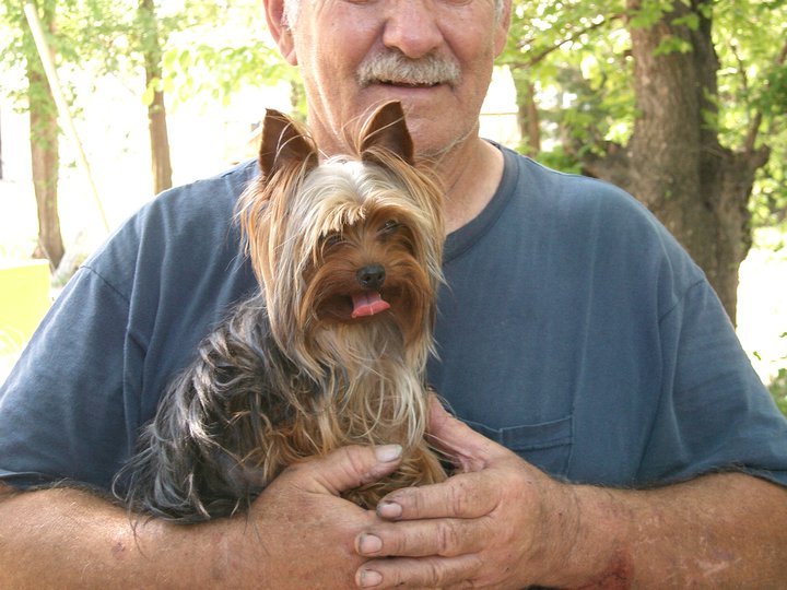 Ray Boyer's album, Profile Pictures