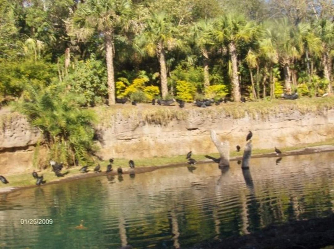 Marie (Gaudet) Lefebvre's album, Disney World 2009