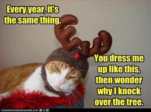 Dave Roughley's album, Timeline Photos