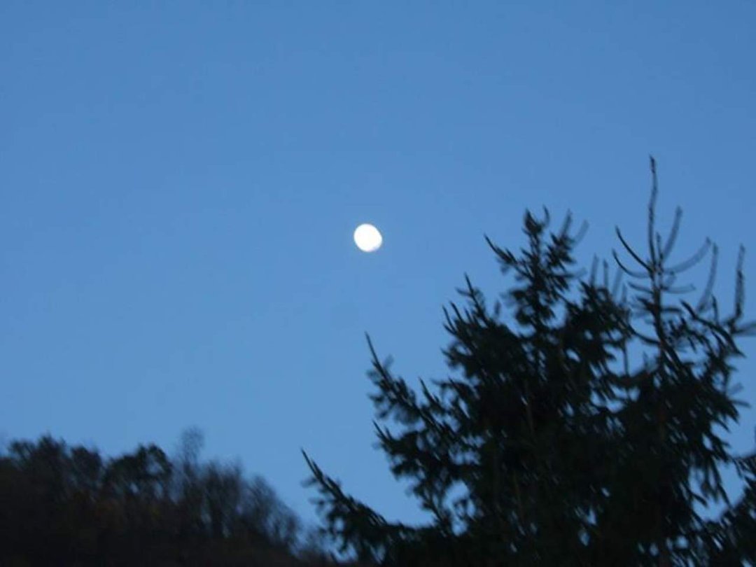 Susan Hurst's album, Cover Photos