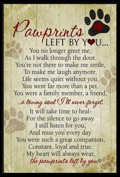 Leni Bishop's album, Timeline Photos