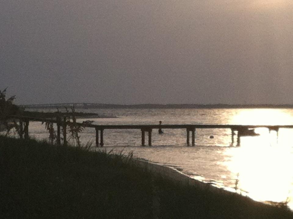 Bruce Fehr's album, Mobile Uploads