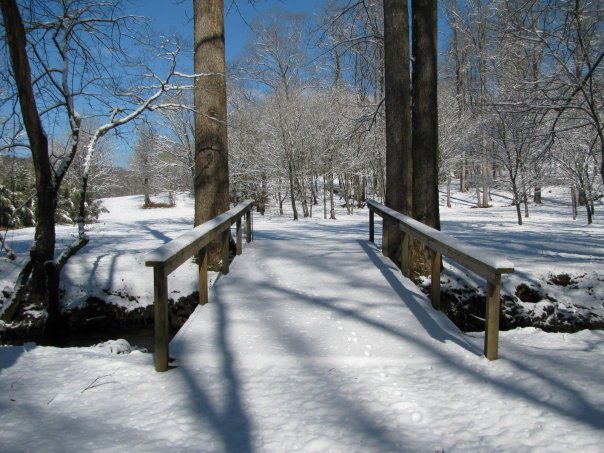 Tom Hellgeth's album, Snow time at Rogers Creek