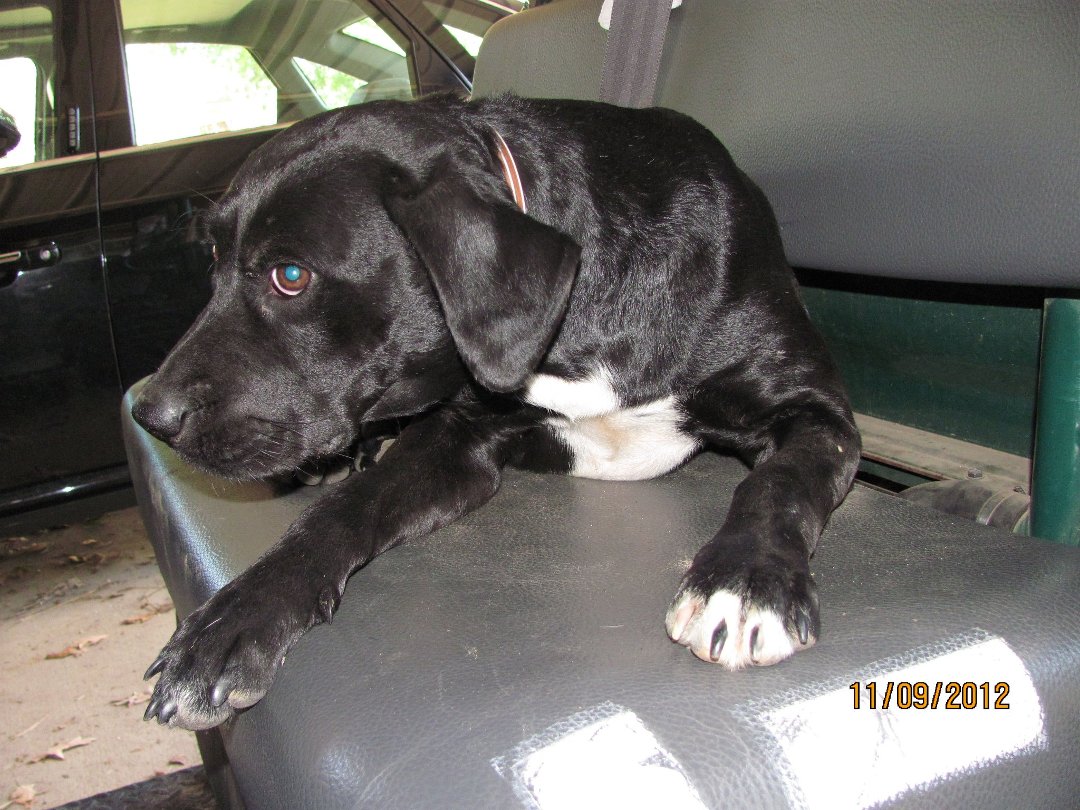 Marjorie Holt's album, Timeline Photos