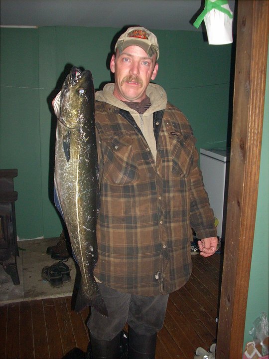 Dwayne Baker's album, Fish