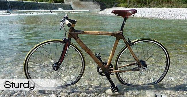 John Holmes' album, Timeline Photos