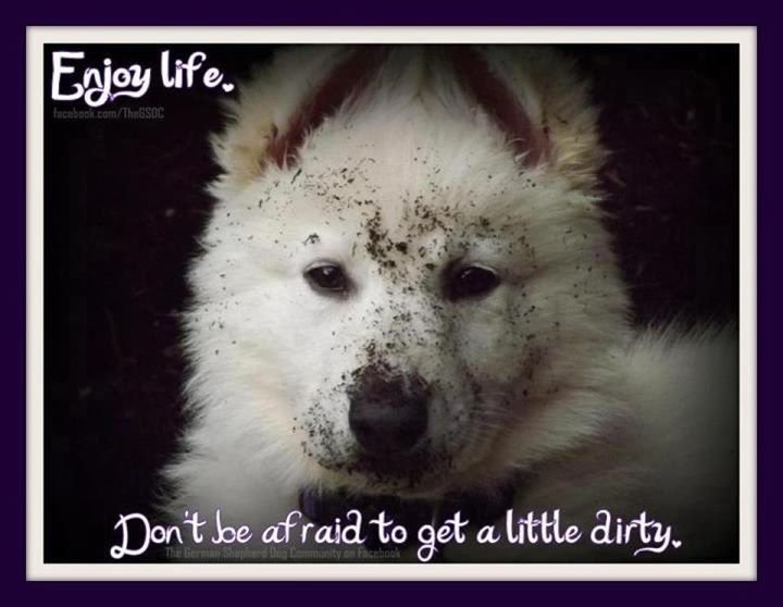 Patrick Farrell's album, Mobile Uploads