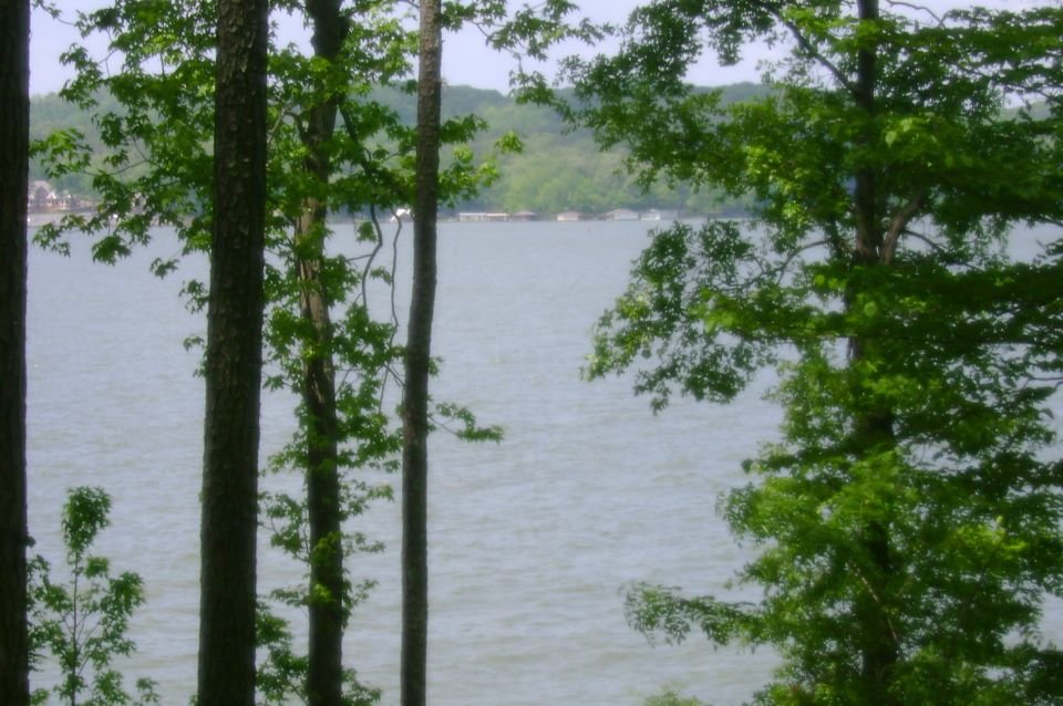 April Stidham's album, Lake Guntersville-April 2011