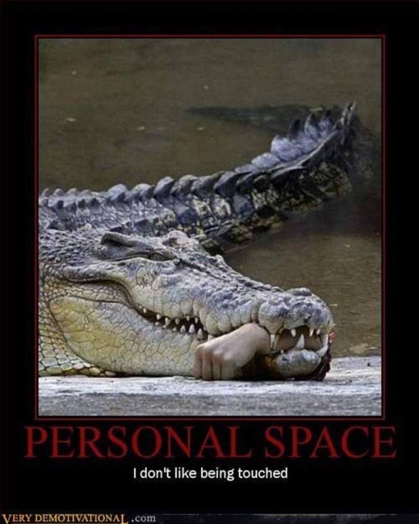 Prospect Bfmc's album, Demotivational Posters for the mature.