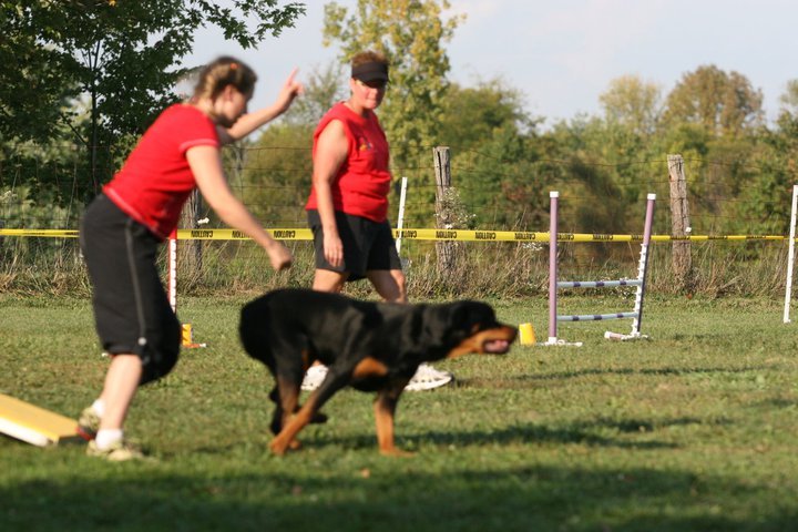 Heather Cotterman's album, In Memory of Woody "Buckeye's Bounding Glory