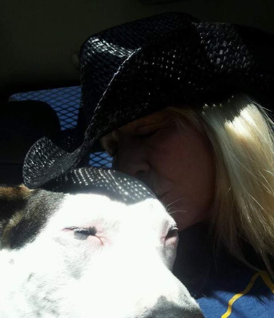 Eileen Morcom's album, Profile Pictures